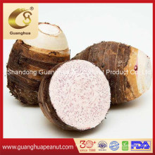 Best Quality Good Taste Washed Fresh Taro 60g up Low Price